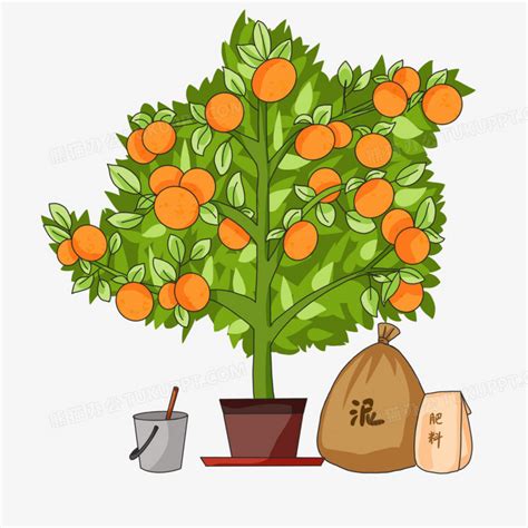 橘子樹卡通